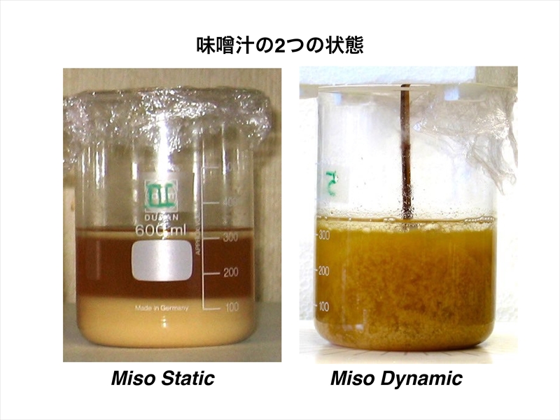 味噌汁の2つの状態：Miso Static と Miso Dynamic